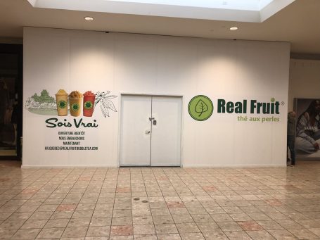 REAL FRUIT VINYL WALL