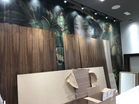 THAI EXPRESS VINYL WALL